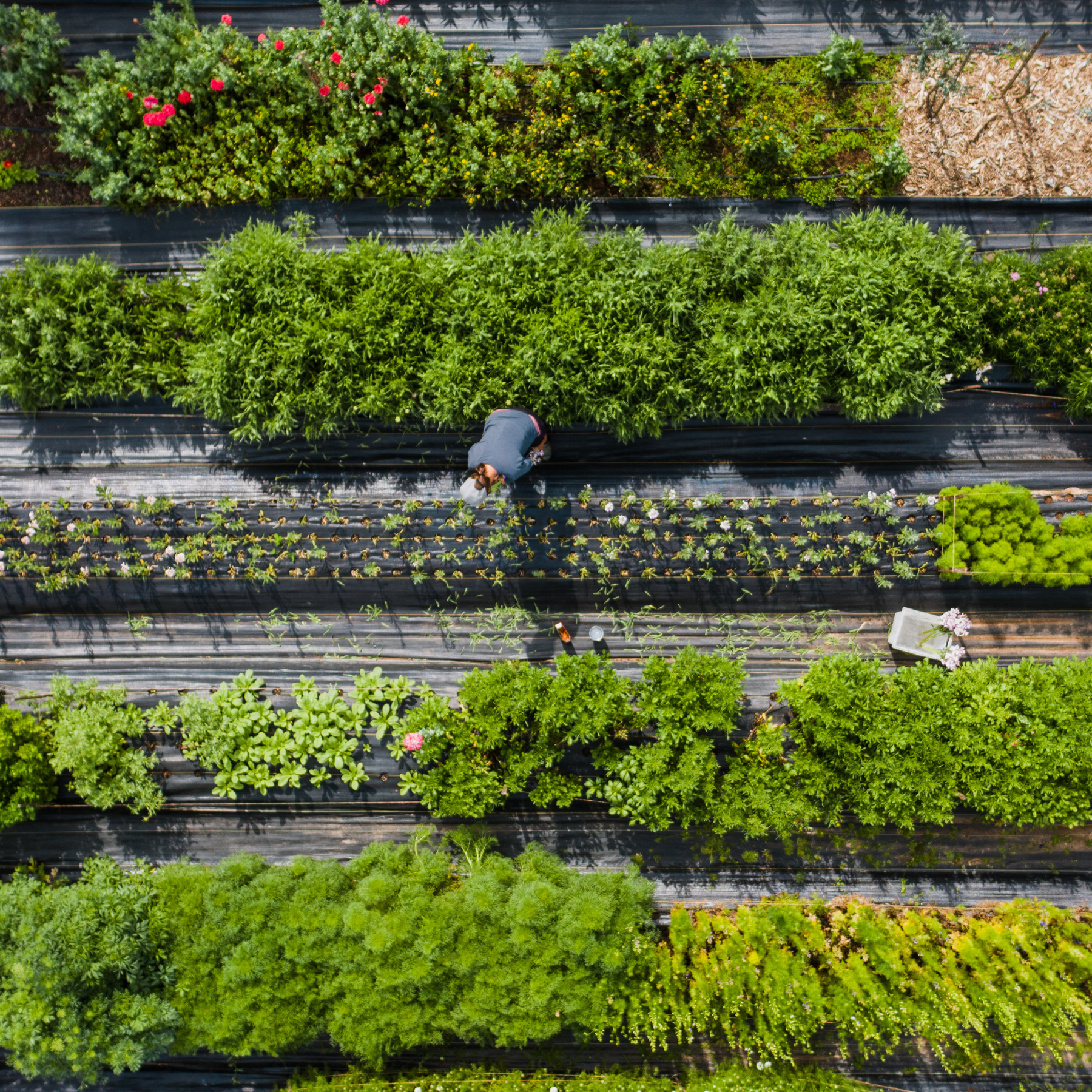 Sliders Global ACI (14)